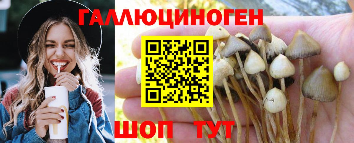 Псилоцибиновые грибы мицелий  Галлюциногенные грибы GOLDEN TEACHER  дарнет шоп  Полысаево  Вход с VPN 